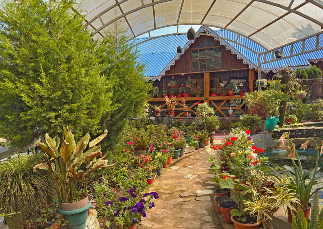 Flora & Fauna's showcase image 2
